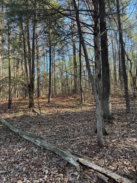 More Photos Of 53 Acres On George Roy Pky, Calera Land For Sale