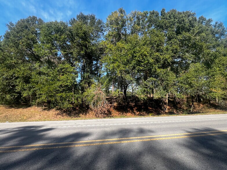 More Photos Of 0 Highway 198, Lucedale Land For Sale