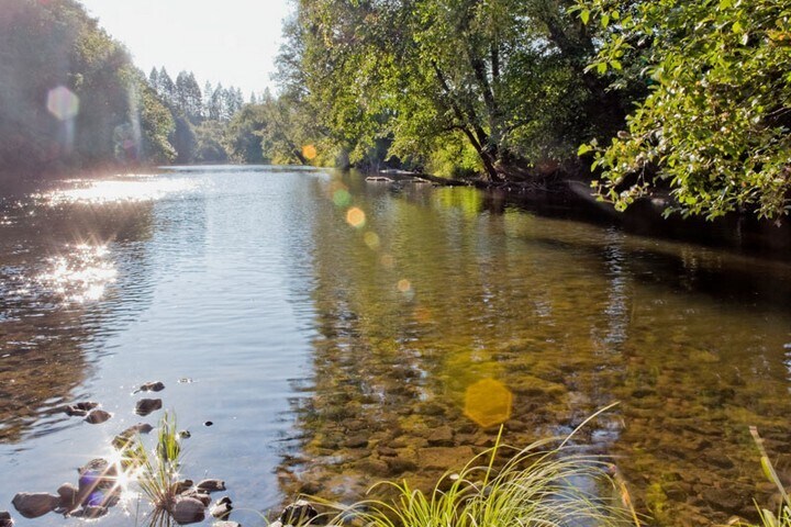 More Photos Of 66845 N Nehalem Hwy, Vernonia Land For Sale