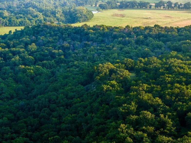 More Photos Of 0 County Road 328, Era Land For Sale