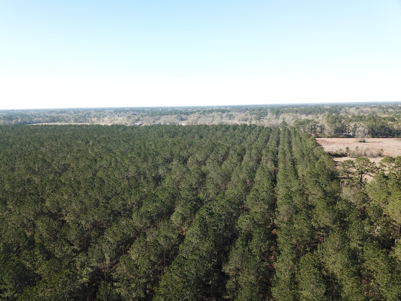 More Photos Of Corrigan Road, Vidor Land For Sale