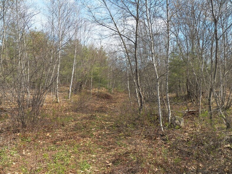 More Photos Of 988 Dover Rd, Epsom Land For Sale