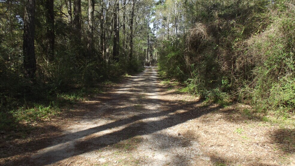 More Photos Of 24030 Hegar Rd, Hockley Land For Sale