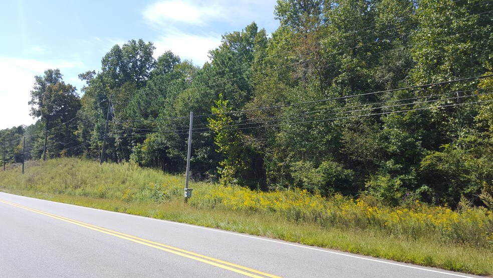 More Photos Of Ball Ground Hwy, Ball Ground Land For Sale