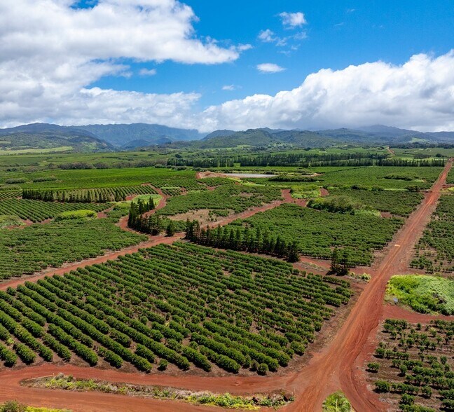 More Photos Of 870 Halewili rd, Kalaheo Land For Sale