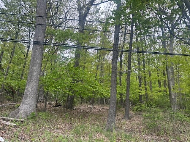 More Photos Of Route 611, Swiftwater Land For Sale