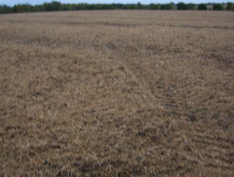 More Photos Of 210th Street Northeast, Solon Land For Sale