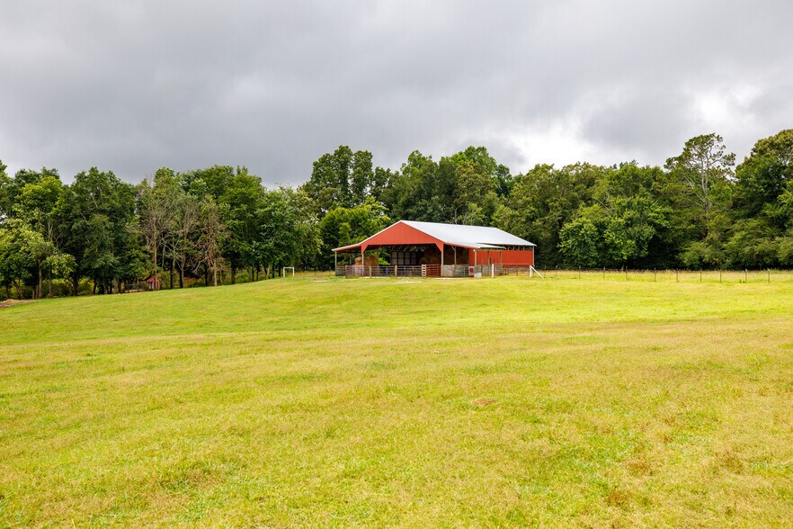 More Photos Of 3262 County Road 6, Hackleburg Land For Sale