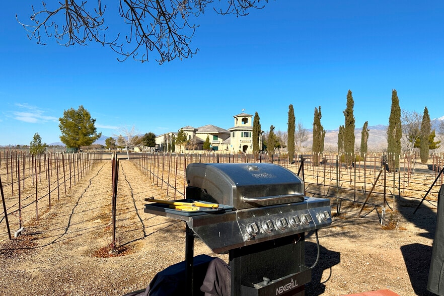 More Photos Of 3780 E Kellogg Rd, Pahrump Winery Vineyard For Sale