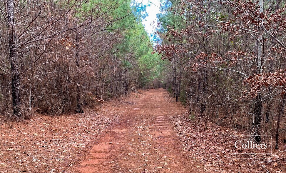 More Photos Of Long Road Rd, Ridgeway Land For Sale