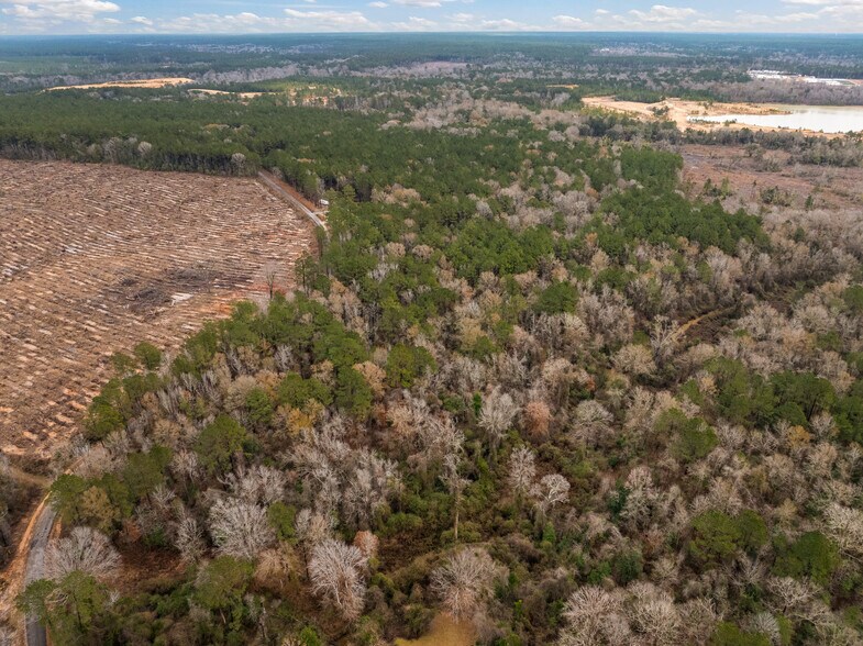 More Photos Of TBD 25 acres Tatoo Road, Glenmora Land For Sale