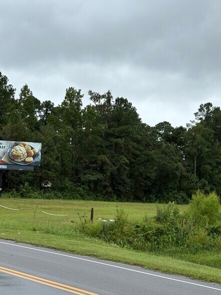 More Photos Of 544 Hwy, Conway Land For Sale