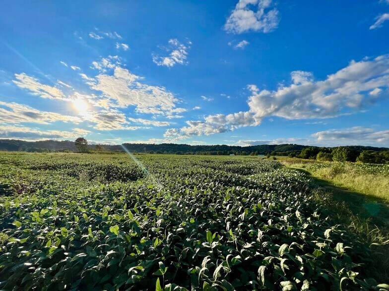 More Photos Of 16498 Graham Station Road, Letart Land For Sale