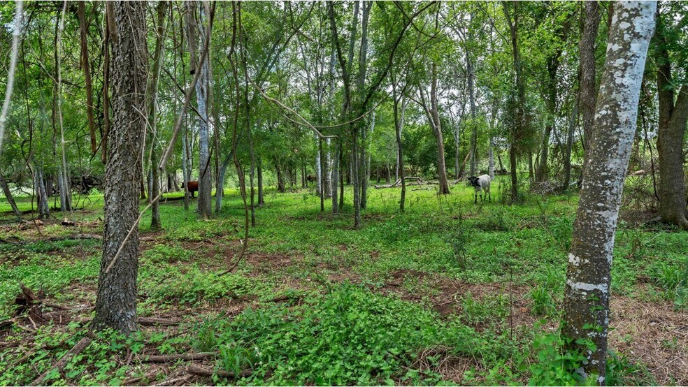 More Photos Of 209 FM 1344, Floresville Land For Sale
