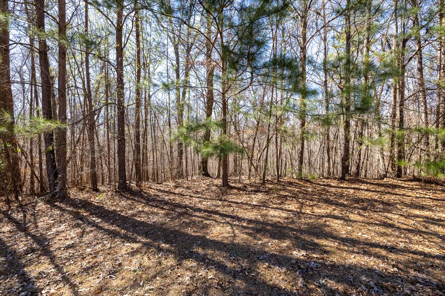 More Photos Of 0 Fontainbleau Dr, Conyers Land For Sale