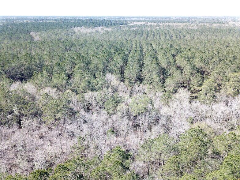 More Photos Of Corrigan Road, Vidor Land For Sale