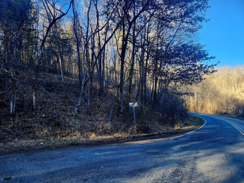 More Photos Of Lyle Wilson Rd, Cullowhee Land For Sale