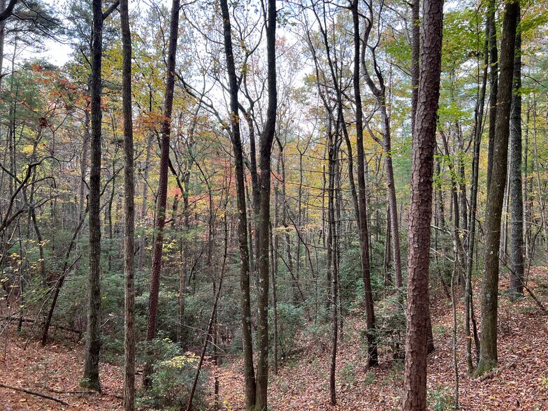 More Photos Of Whitecliff Drive, Ellijay Land For Sale
