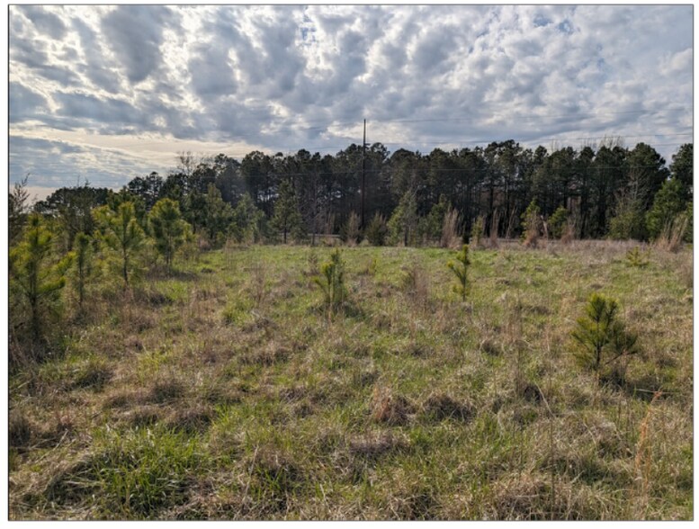 More Photos Of 0 Old Eden Rd, Eden Land For Sale