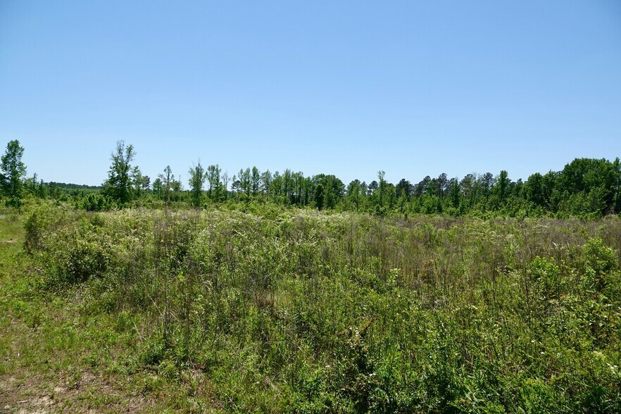 More Photos Of Merritt Rd @ W Reeves Street, Malvern Land For Sale