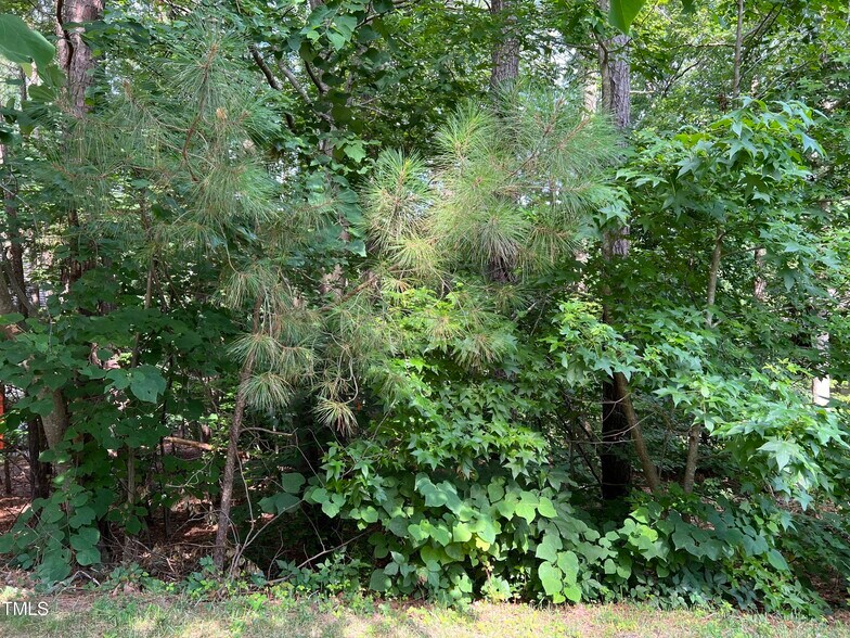 More Photos Of 19102 Stone Brook, Chapel Hill Land For Sale