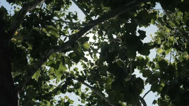 Primary Photo Of 2603-2633 Camino Ramon, San Ramon Unknown For Lease