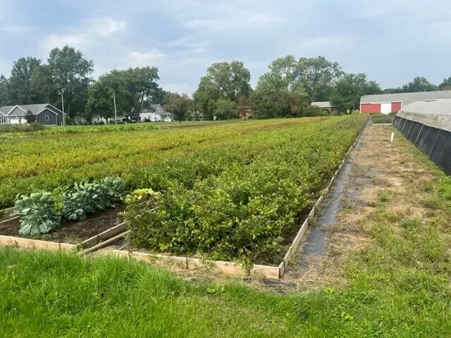 More Photos Of 9555 Gast Rd, Bridgman Shelter For Sale