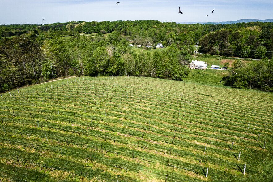 More Photos Of 318 Elkin Creek Mill Rd, Elkin Winery Vineyard For Sale