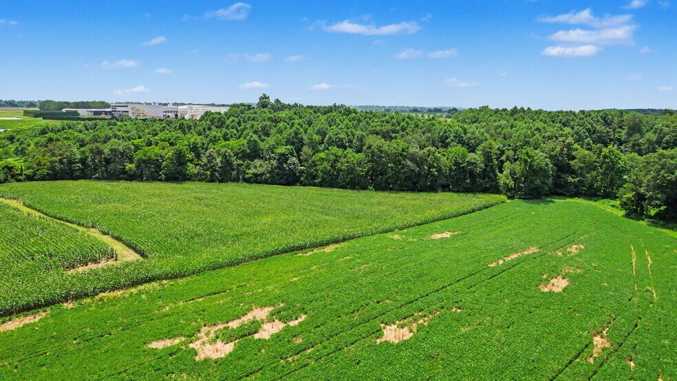 More Photos Of 0 Coffman Rd, Borden Land For Sale