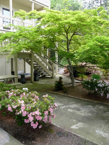 More Photos Of 550 Main St, Placerville Office For Lease