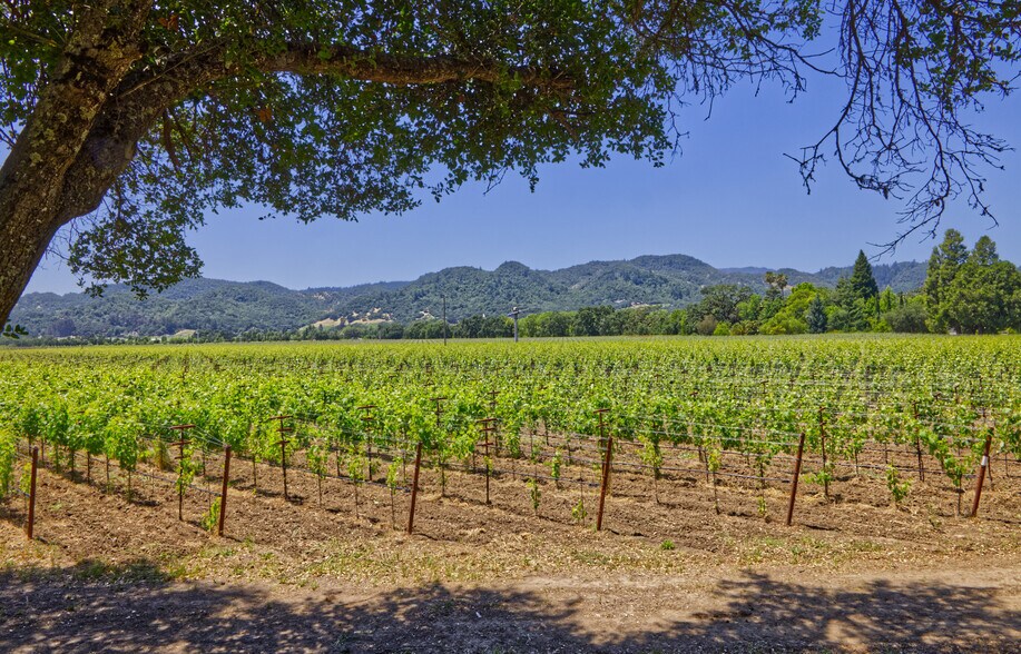 More Photos Of 6160 St Helena hwy, Napa Land For Sale