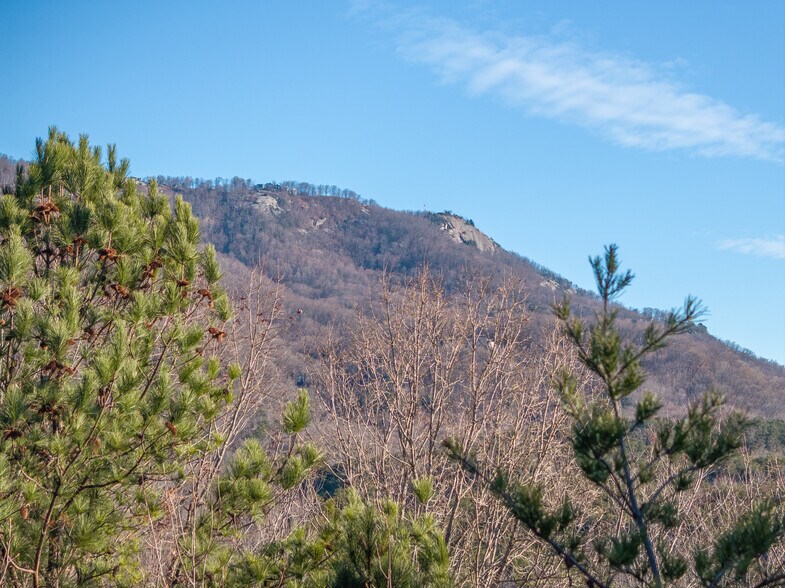 More Photos Of 00 Pittman Rd, Landrum Land For Sale