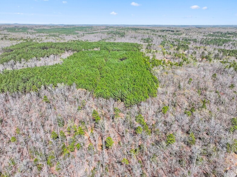 More Photos Of 1073 Boyds Mill Pond Rd, Laurens Land For Sale