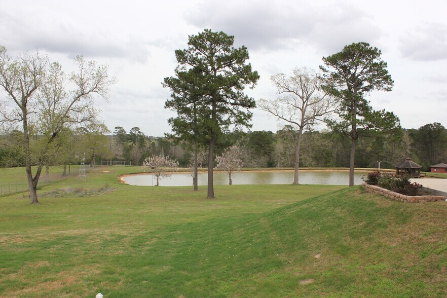 More Photos Of 16046 Honea Rd W, Montgomery Land For Sale