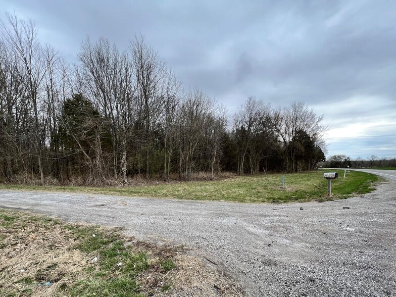 Primary Photo Of 00 US Highway 51, De Soto Land For Sale