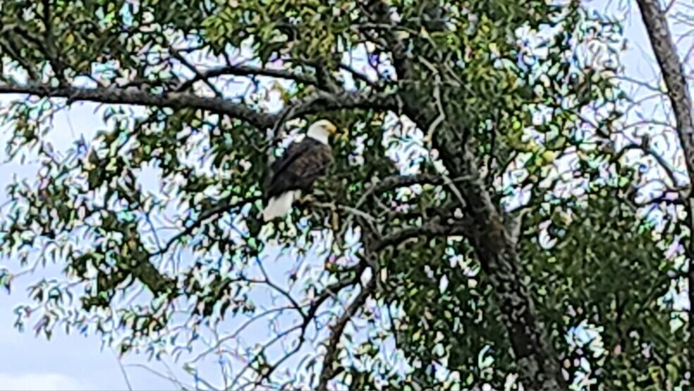 More Photos Of 1522 Burney Cemetary Rd, Calera Lodge Meeting Hall For Sale