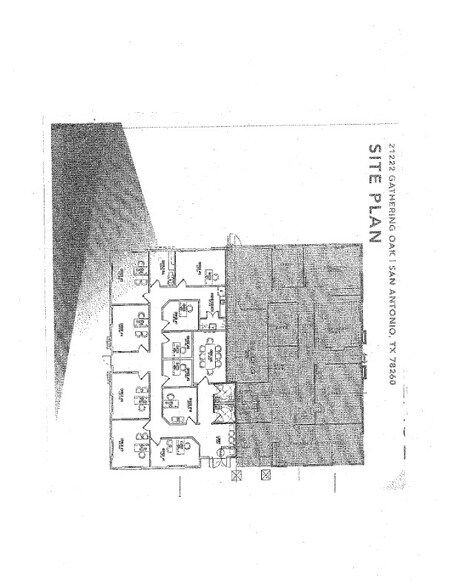 More Photos Of 21222 Gathering Oak, San Antonio Office For Lease