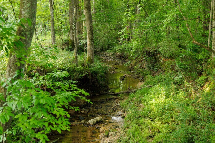 More Photos Of 2199 Roosterville Rd, Roopville Horse Stables For Sale