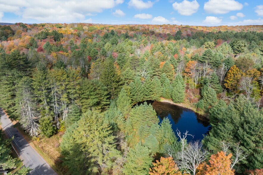 More Photos Of 378 Gregory Rd, Monticello Land For Sale