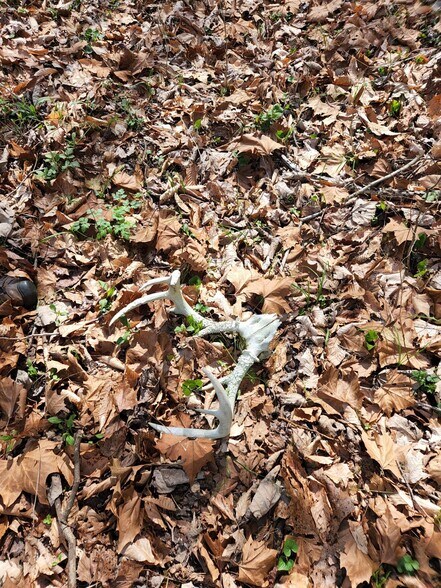 More Photos Of 715 Wheeler Rd, Ewing Land For Sale