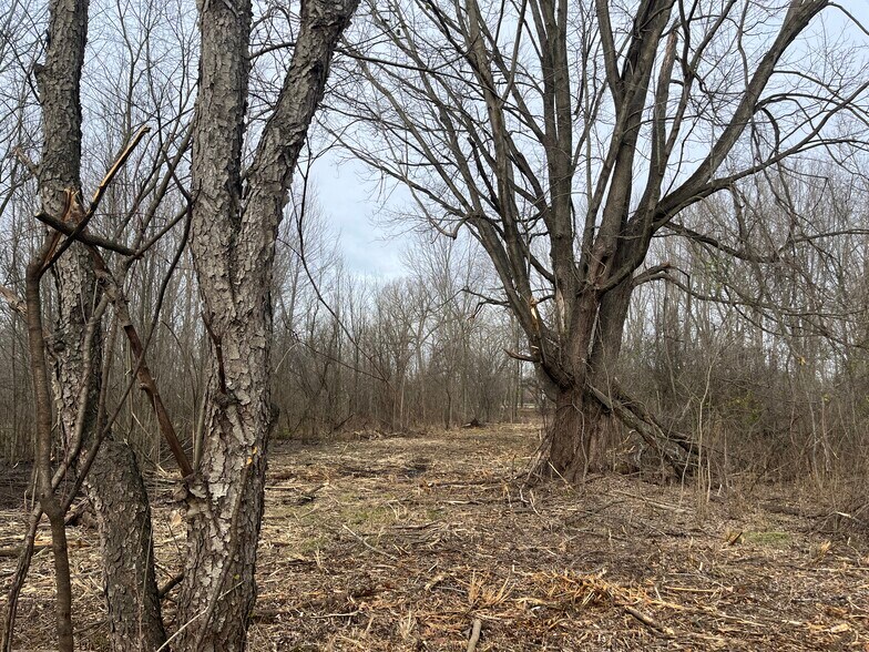 More Photos Of Old US Highway 12, Chelsea Land For Sale