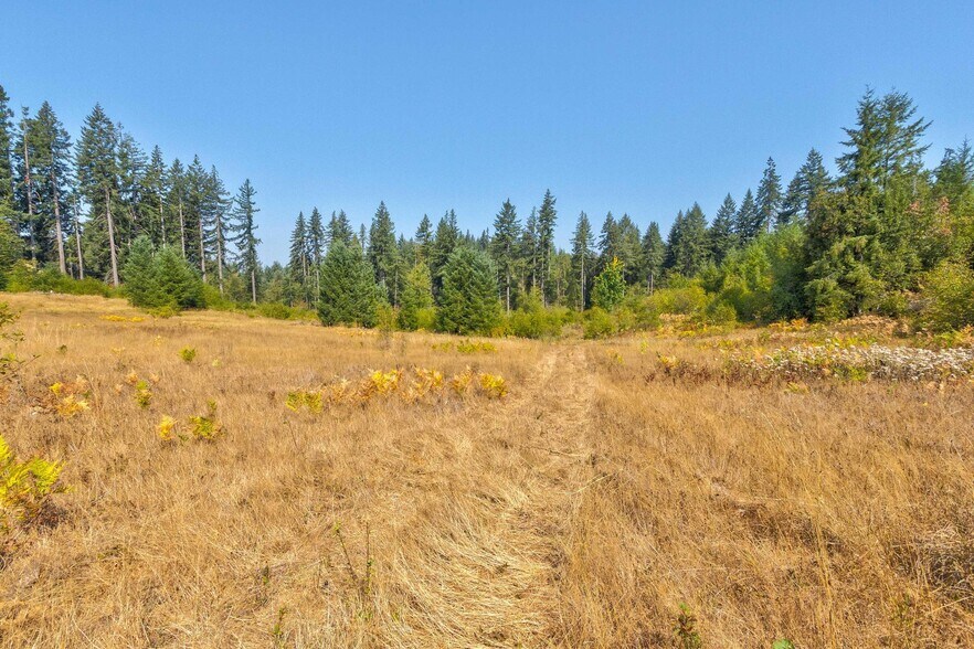 More Photos Of 17401 NE 217th Ave, Brush Prairie Land For Sale