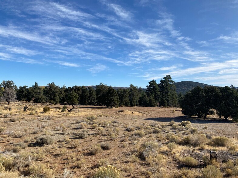 More Photos Of 0 Pine Ln, Big Bear City Land For Sale