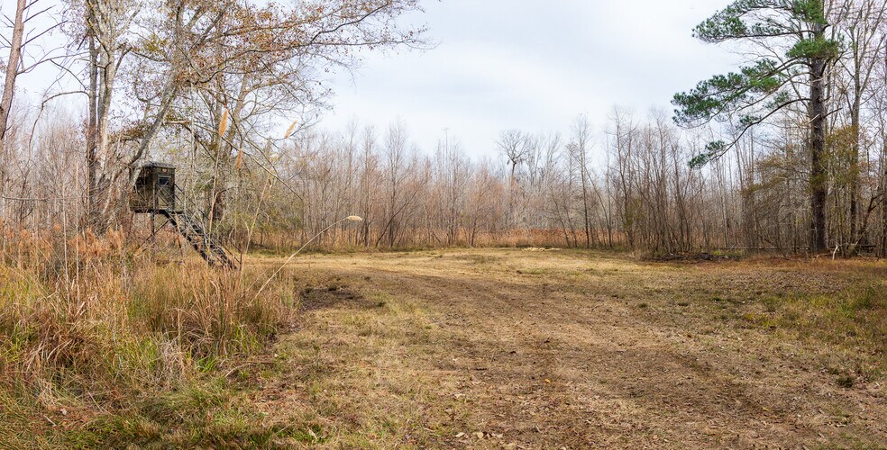 More Photos Of 409 Windward Ave, Orangeburg Land For Sale