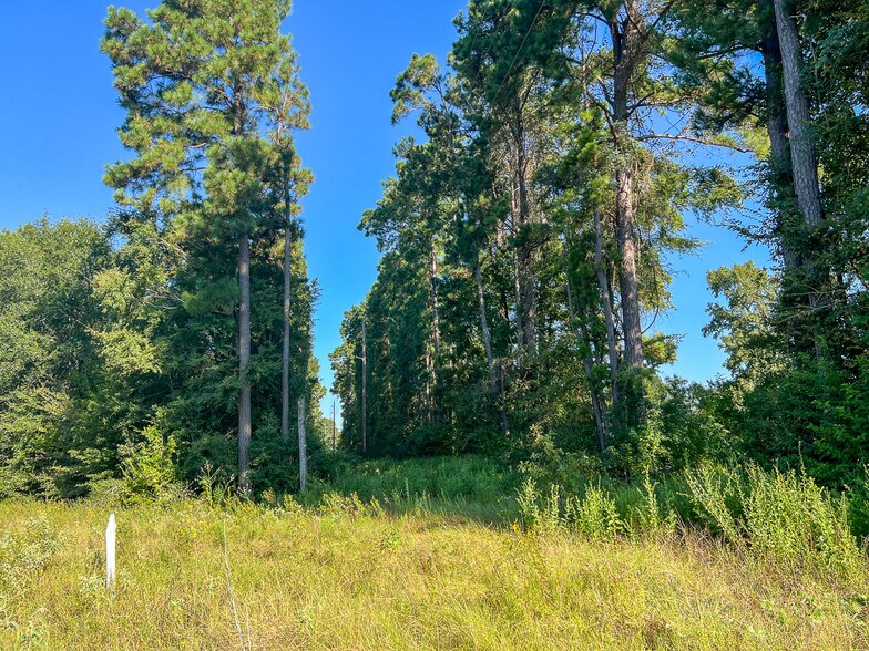More Photos Of 1 FM 247, Huntsville Land For Sale
