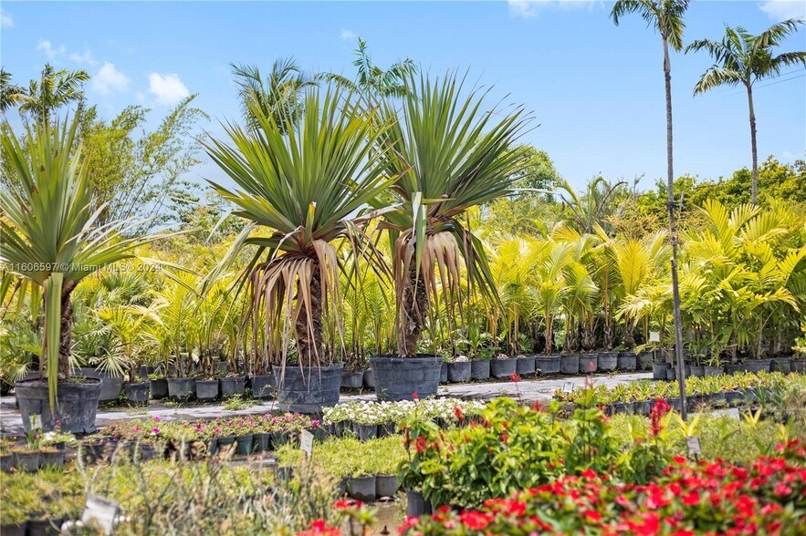 More Photos Of 31875 SW 197th Ave, Homestead Land For Sale