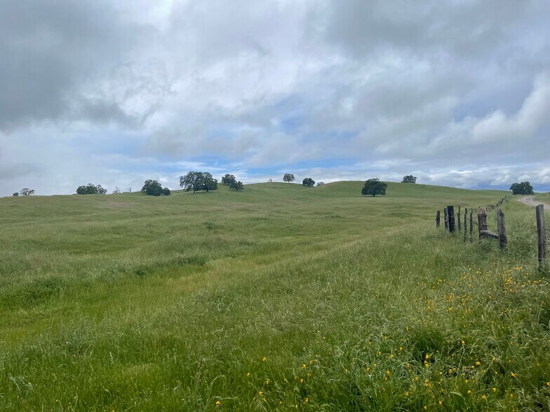 More Photos Of Hwy 41, O Neals Land For Sale