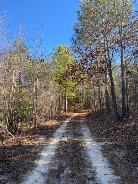 More Photos Of 1021 Ready Pond Rd, Batesburg-Leesville Land For Sale