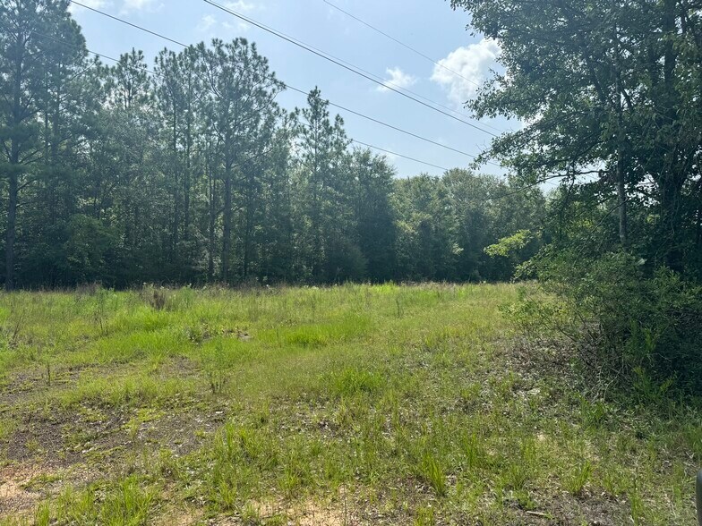More Photos Of 0 Nokomis Road, Walnut Hill Land For Sale
