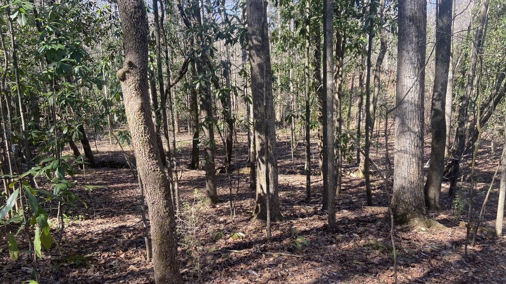 More Photos Of 0 Roosevelt Hwy, Warm Springs Land For Sale